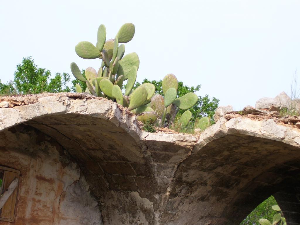 ليفيرانو Villa Ghetta Country House المظهر الخارجي الصورة