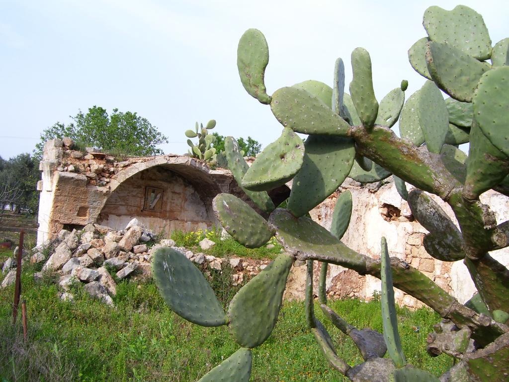 ليفيرانو Villa Ghetta Country House المظهر الخارجي الصورة