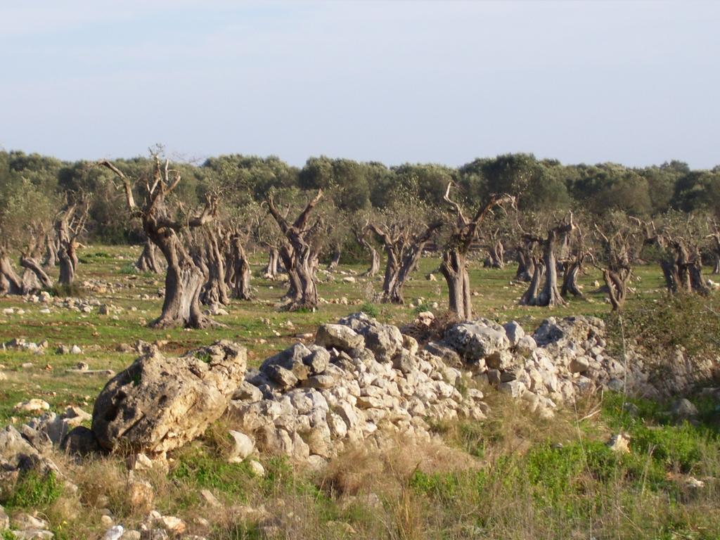 ليفيرانو Villa Ghetta Country House المظهر الخارجي الصورة